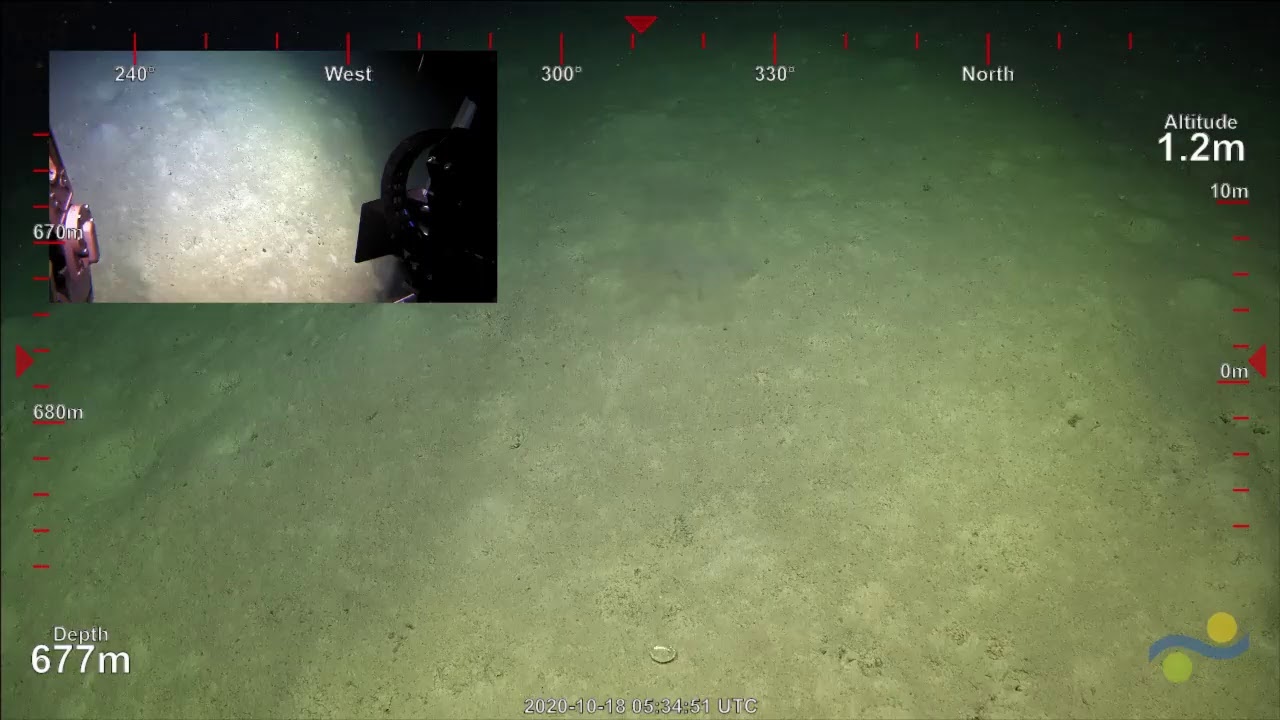 ROV SuBastian Dive 399 (Pt B) - Southern Small Detached Reef, Australia - FK200930