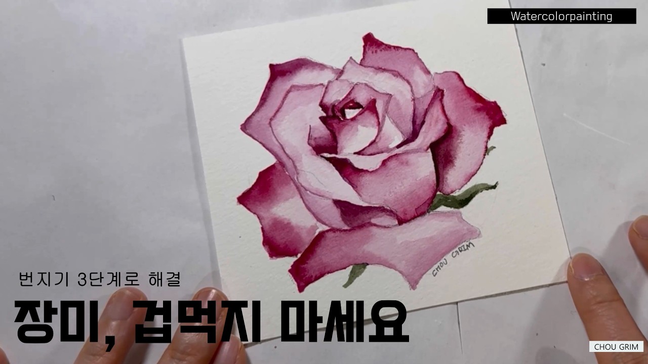수채화 장미 그리기 | 번지기 3단계로 완성하는 초보 가이드 Watercolors ROSE
