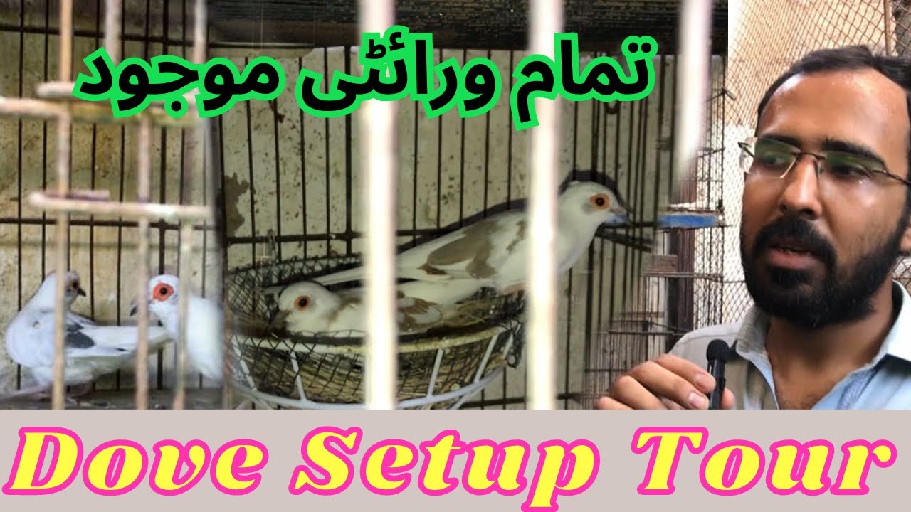 Dove Complete setup tour || ft. Kashan Bhai || ( Part-01)