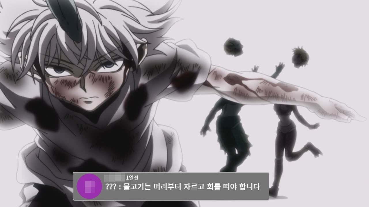 헌터헌터 속 개사이다 장면들 - 상편