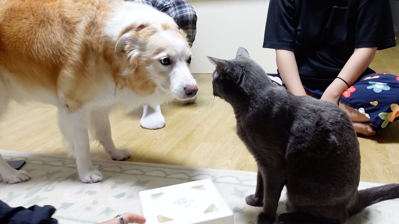 상상하기 어려울 정도로 엄청난 일이 벌어졌습니다..!