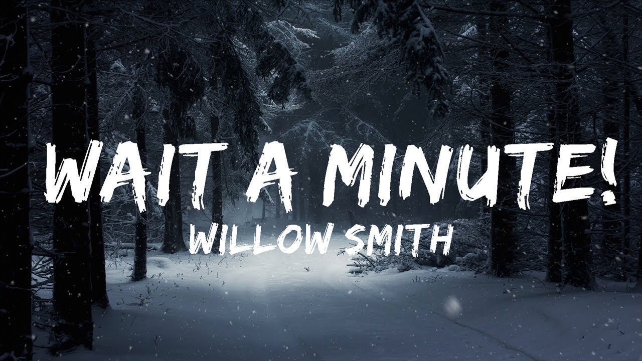 30 Mins |  Willow Smith - Wait a Minute! (Lyrics)  | Your Fav Music