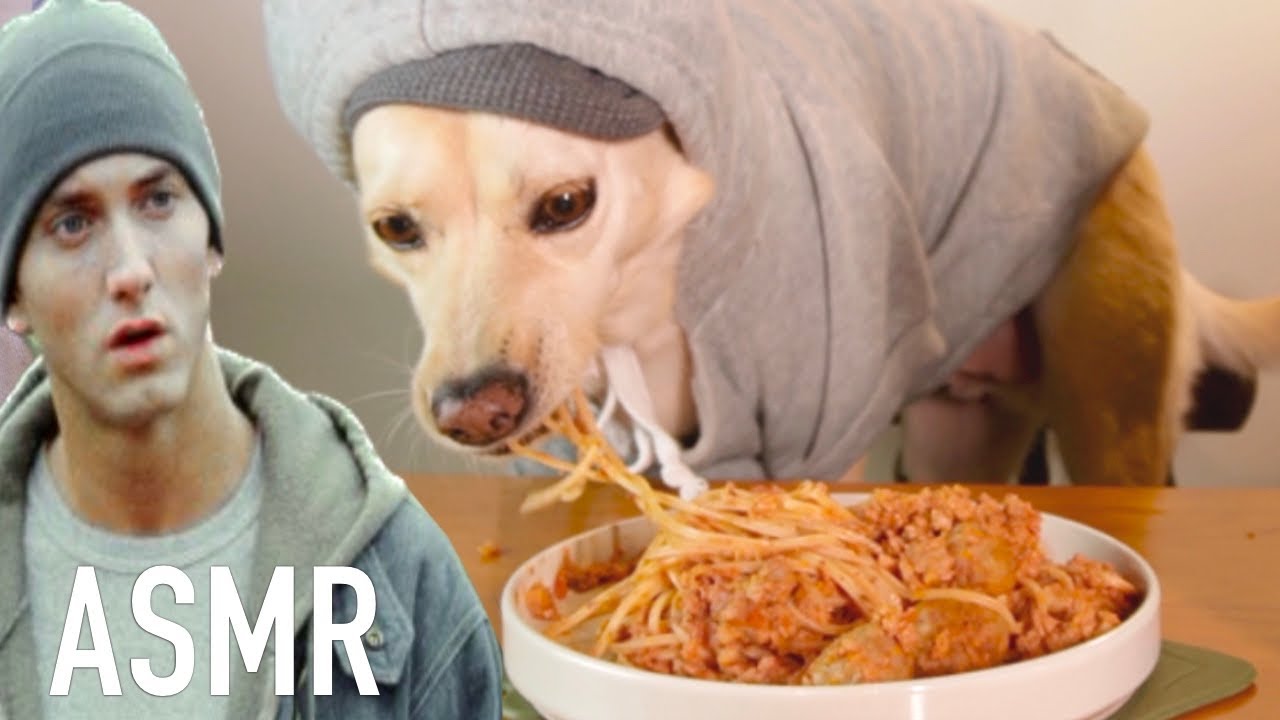 Dog Eat MOM'S SPAGHETTI • ASMR