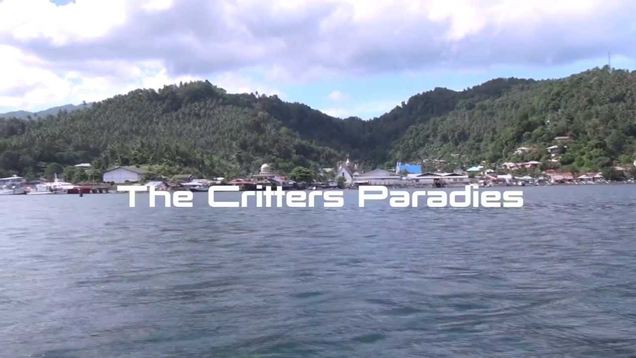 Lembeh Strait - The Critters Paradise