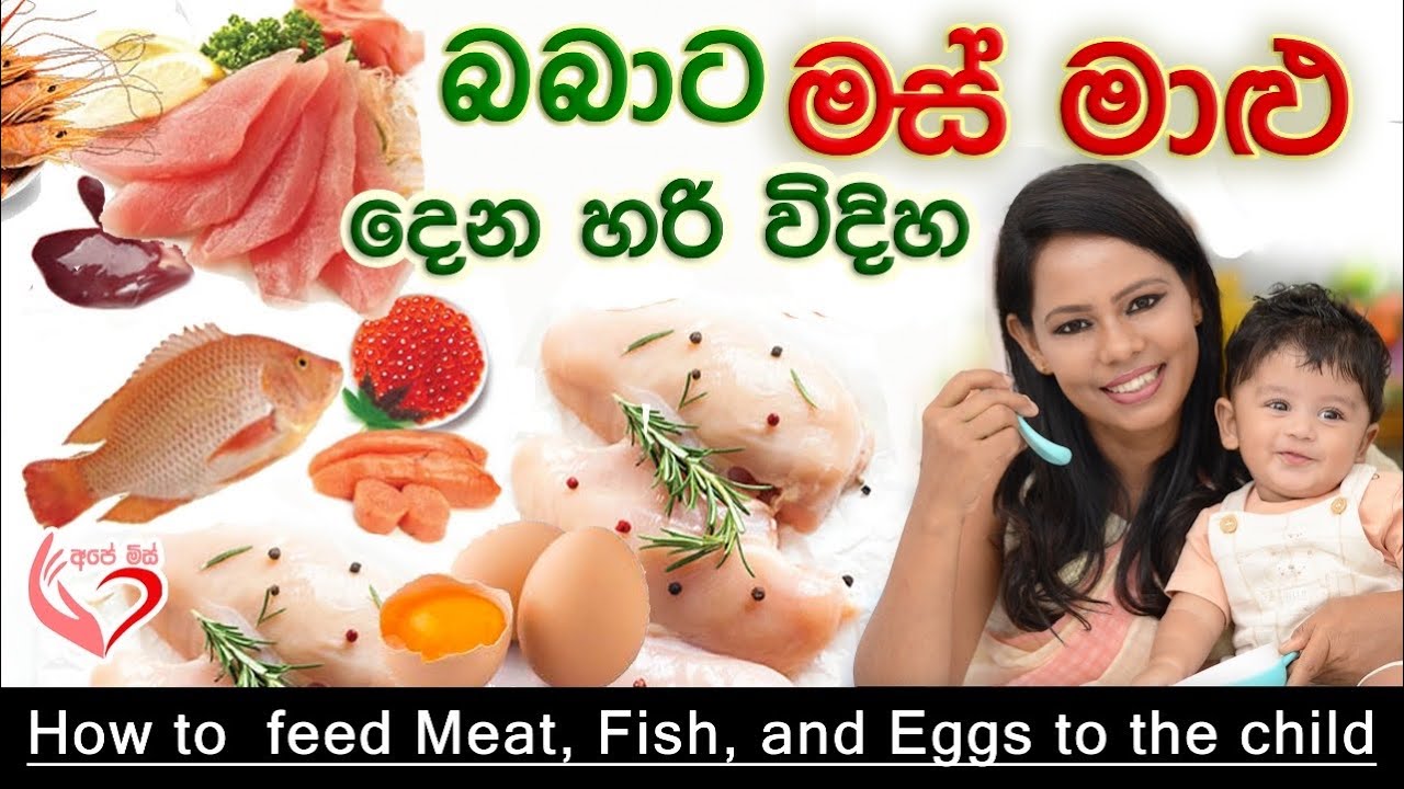 පුංචි පැටියට මස් මාළු දෙන හරි විදිහ. How to feed meat fish and eggs  | Ape miss- අපේ මිස් |