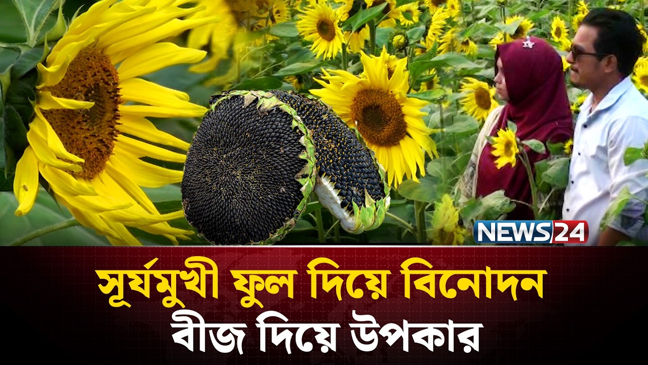 ফুল দেখে বিনোদন, তেলে দিয়ে রোগের সমাধান! | NEWS24 Special | NEWS24