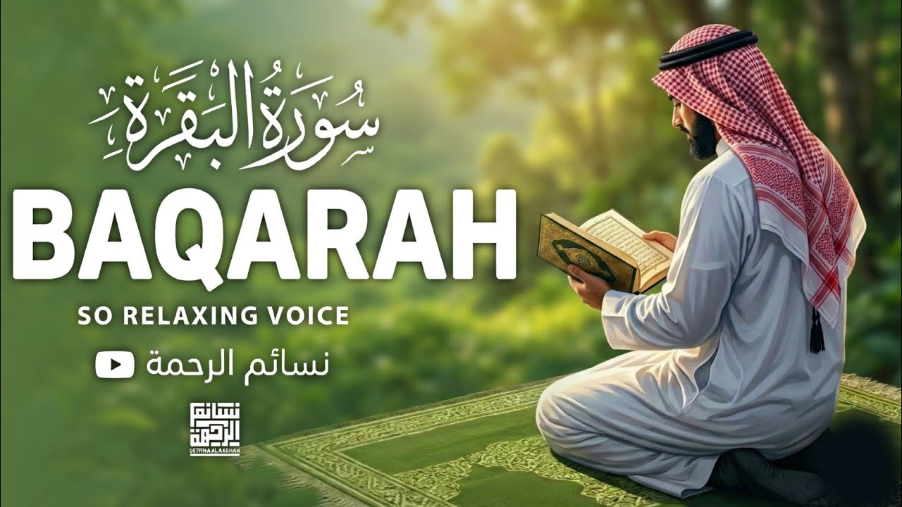 Surah Al-Baqarah Complete | Protection from Shaytan & Blessings | By Abdullah Shaban سورة البقرة 
