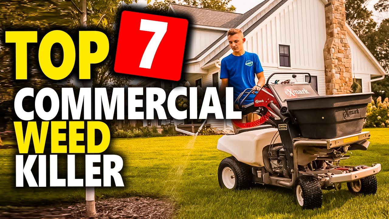 Best Commercial Weed Killer - Strongest Commercial Weed Killer