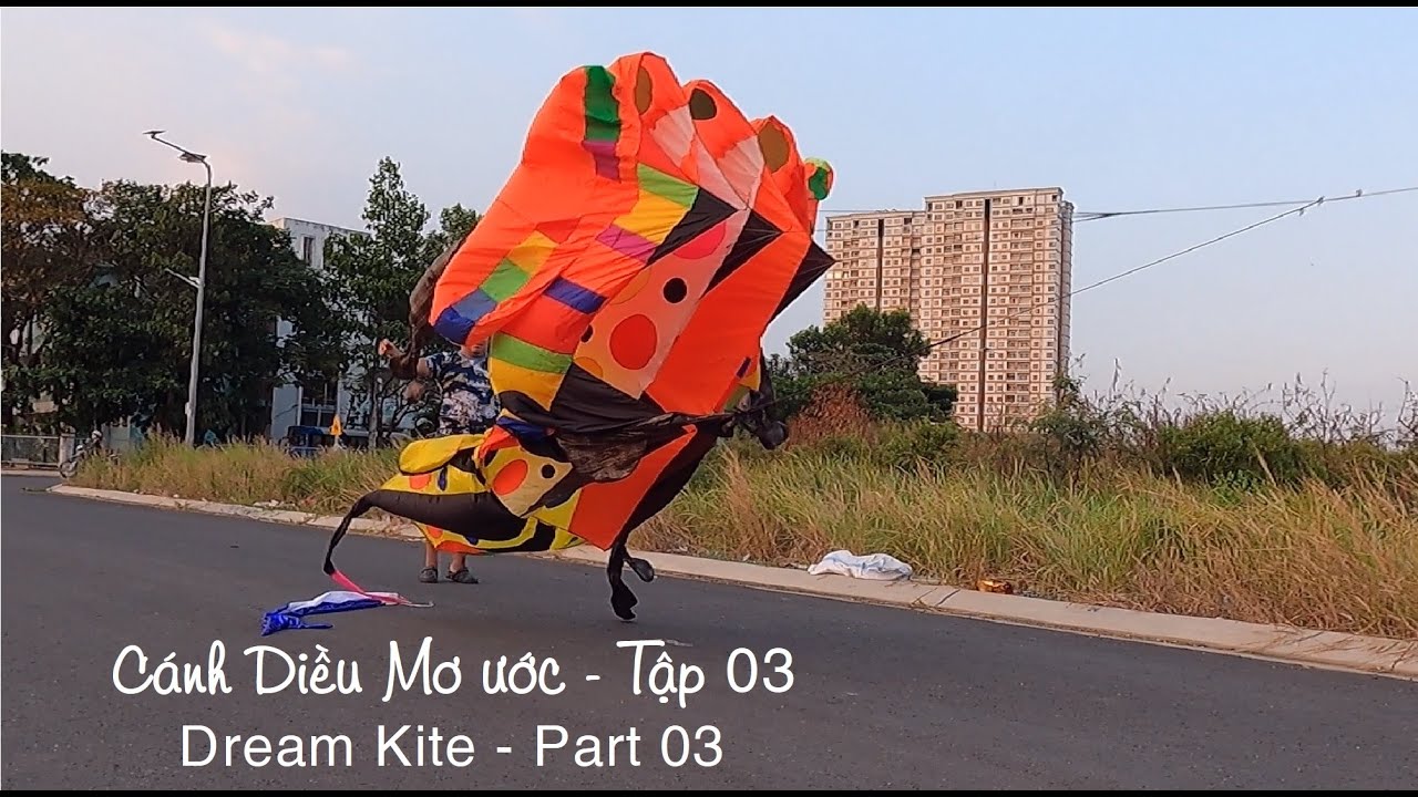 Diều Ếch Khí Động Học-Diều Quạt,Diều Bướm Xanh, Thả Diều -Cánh Diều Mơ Ước Tập 03-Dream Kite Part 03