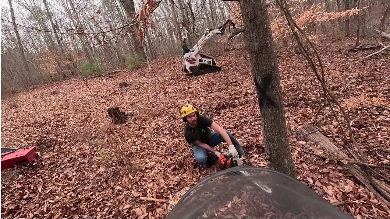 Arbor West Tree Service. Large tree job in Georgia. Bobcat MT100 and Bobcat L28 in action.