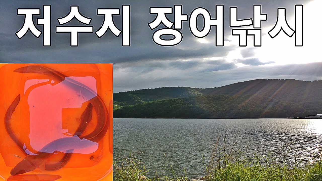 만수위 저수지 장어낚시! 강력한 입질! 원투낚시 채비, 미끼 끼우기, 밤낚시 (Eel Fishing) [괴짜낚시TV]