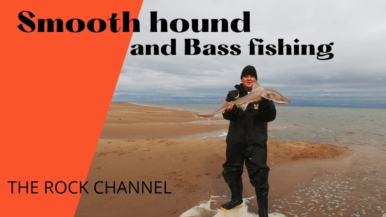 Рыбалка на гладкошерстную акулу в море 🐟, пролив Рок-Чэннел, Нью-Брайтон.