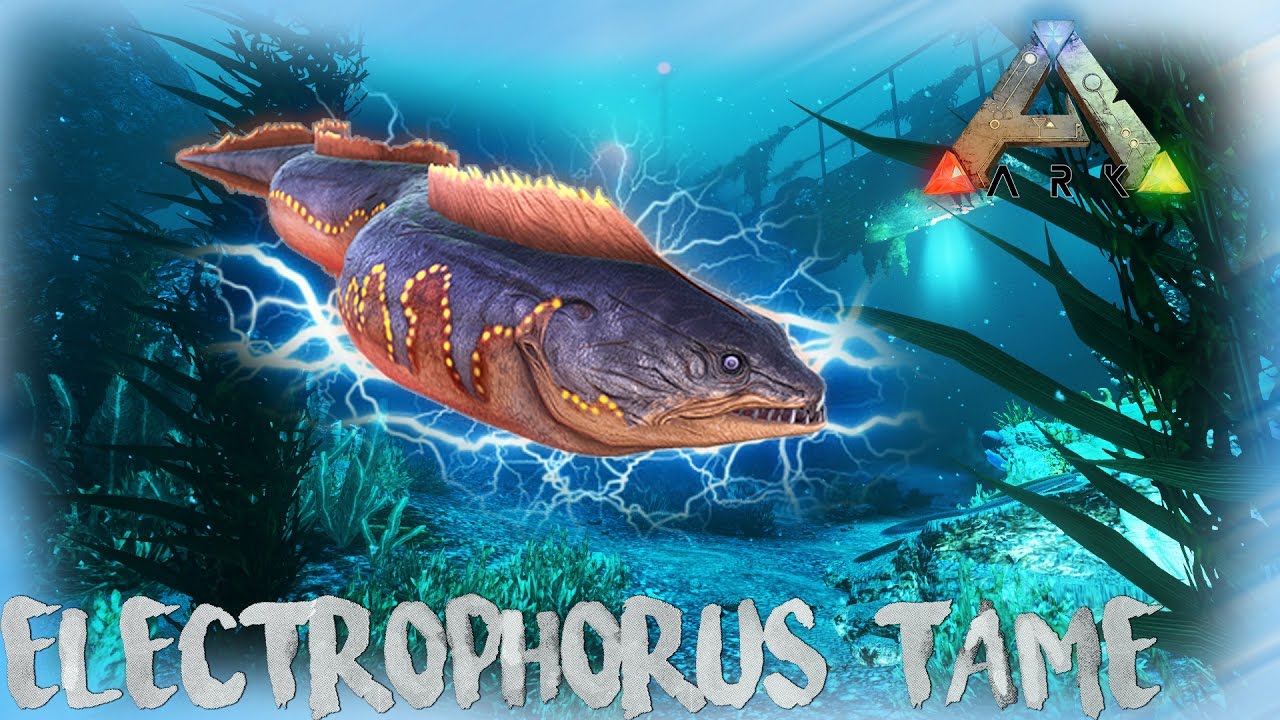 ARK: THE ISLAND | TAMING AN ELECTROPHORUS! | SOLO | OFFICIAL SERVER GAMEPLAY