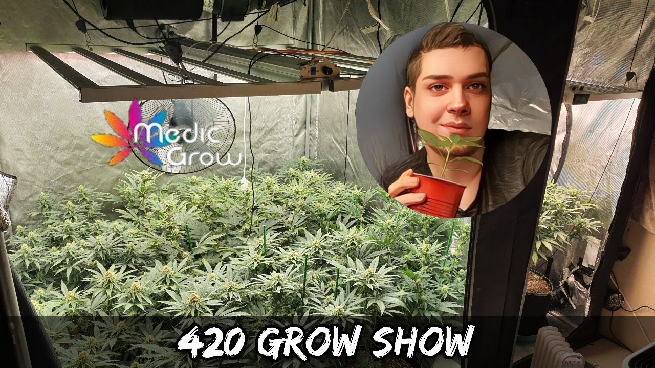 420 live Grow Show&nbsp;destroys the internet - Gigi-Army