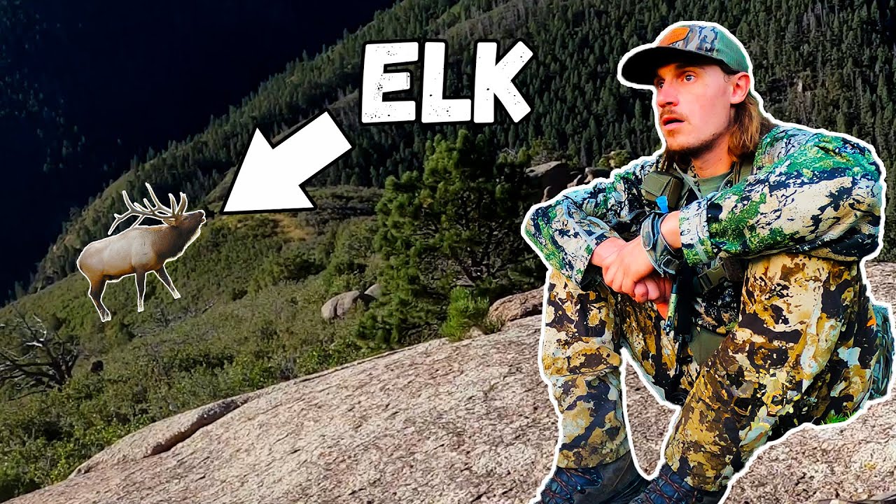 Opening Day!!! (Hunting Elk on Public Land)