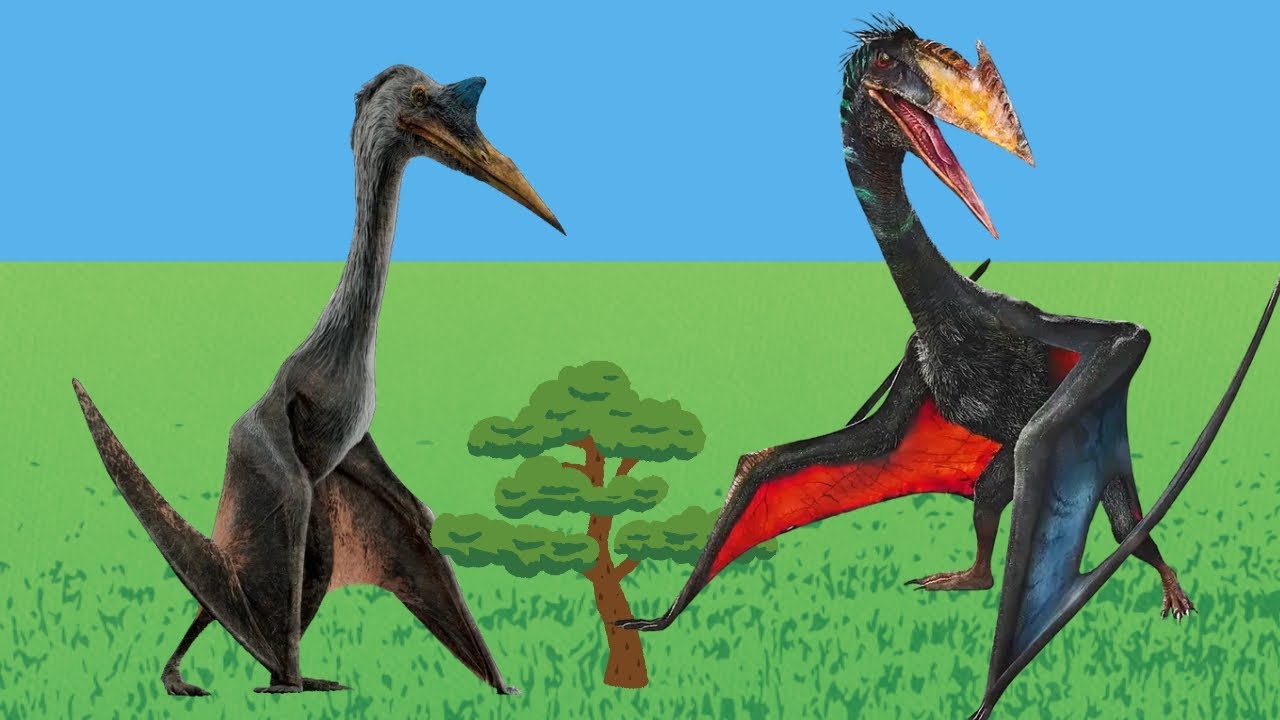 O maior réptil voador do parque quetzalcoatlus