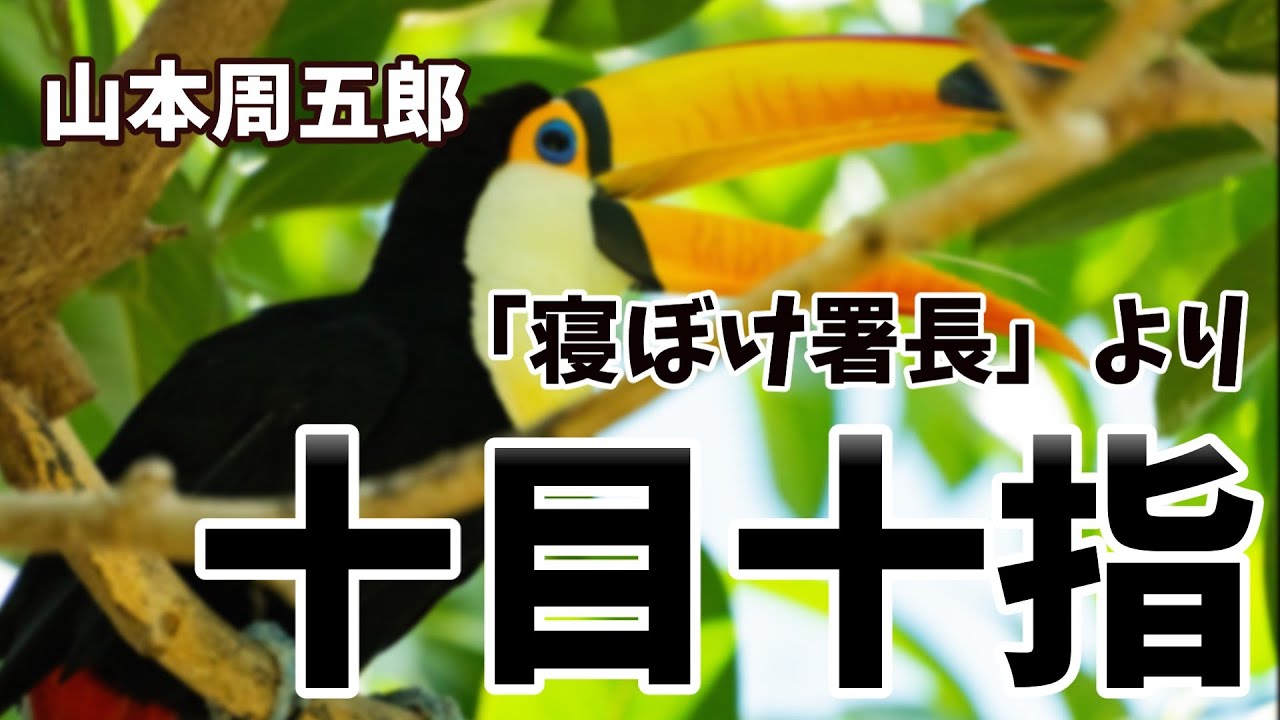 【朗読】「寝ぼけ署長」より　十目十指　山本周五郎　読み手アリア