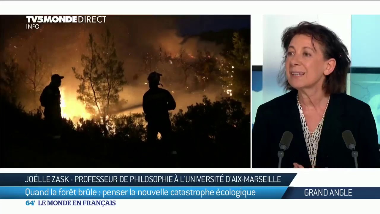 Qu'est-ce qu'un méga feu ?