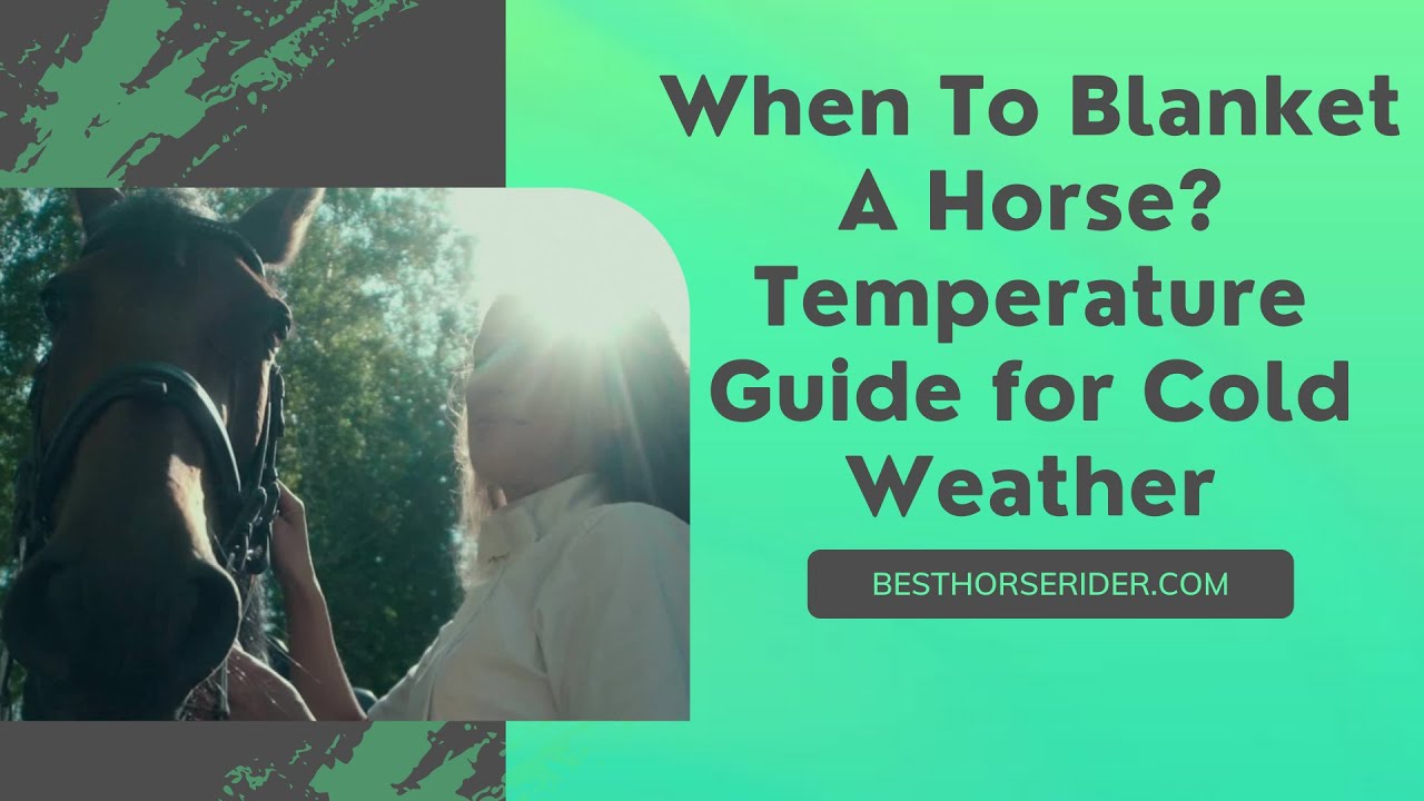 When To Blanket A Horse? Temperature Guide for Cold Weather