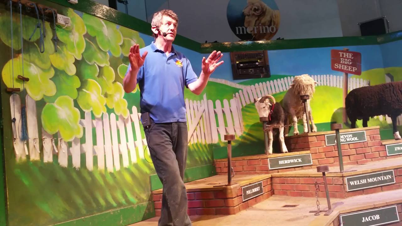 Sheep Show 25/3/16