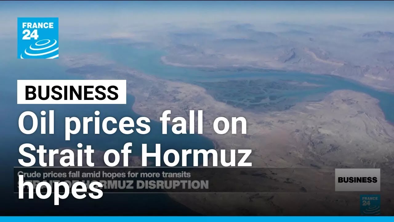 Oil eases amid signs Iran is allowing some tankers pass through Strait of Hormuz • FRANCE 24