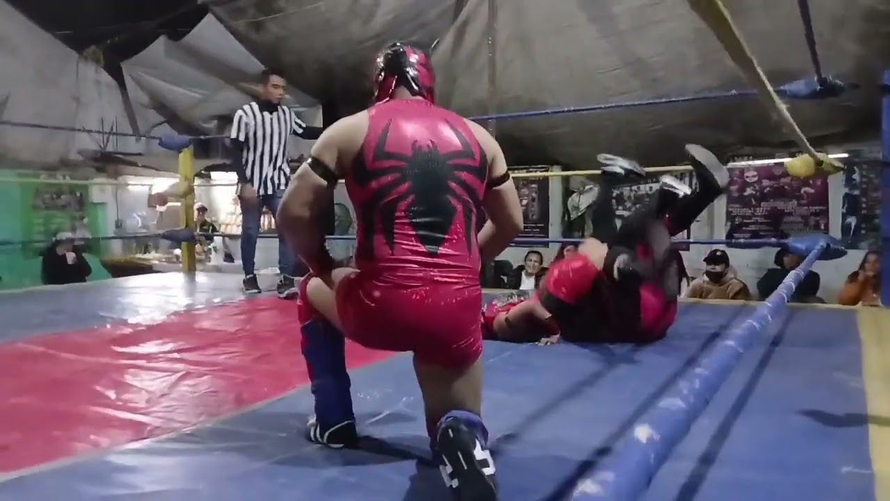 Le dan con todo a Spider Kid JR.