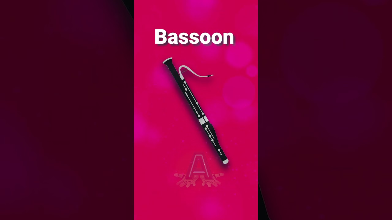 Bassoon English Vocabulary Musical Instruments #shorts