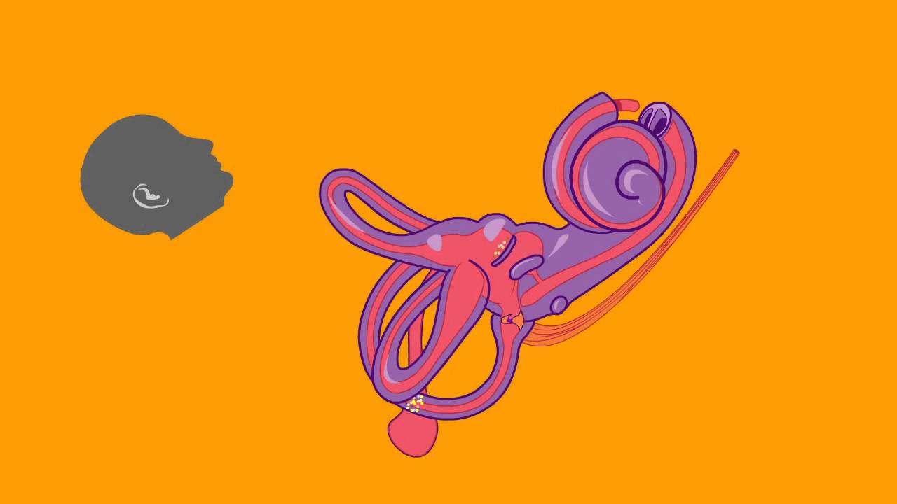 Поймите ДППГ за одну минуту &mdash; Майкл Тейксидо, доктор медицины