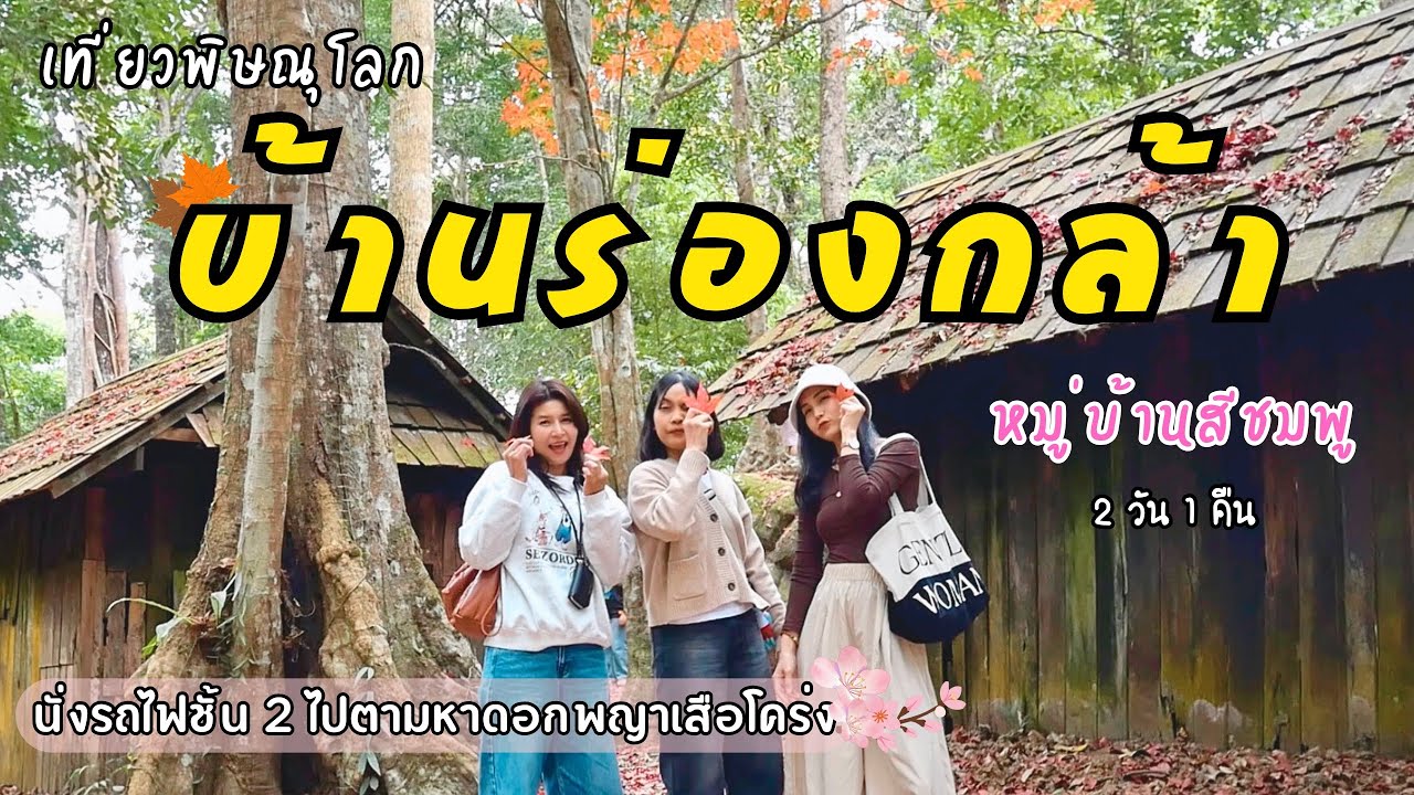 เที่ยวพิษณุโลก บ้านร่องกล้า หมู่บ้านสีชมพู | นั่งรถไฟชั้น 2 ตามหาดอกพญาเสือโคร่ง จะได้เจอไหมนะ?