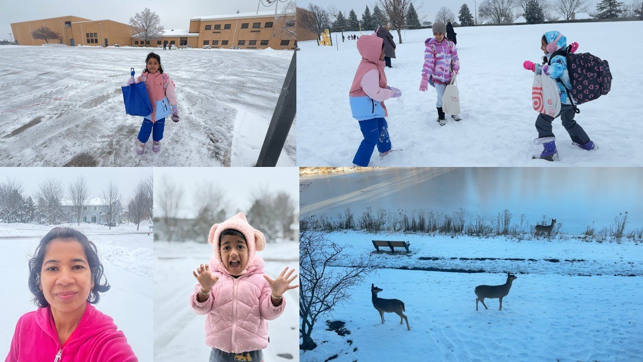Kids going School in Snow , Deer and Coyote at our Backyard