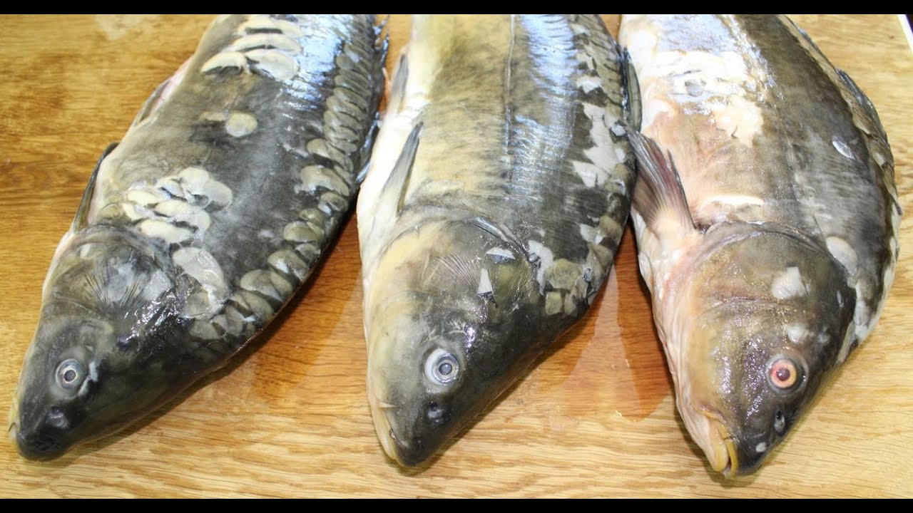 ШАШЛЫК ИЗ РЫБЫ