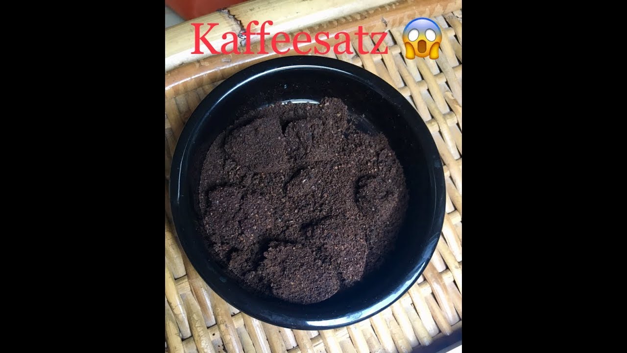 Kaffeesatz als kleines Wundermittel