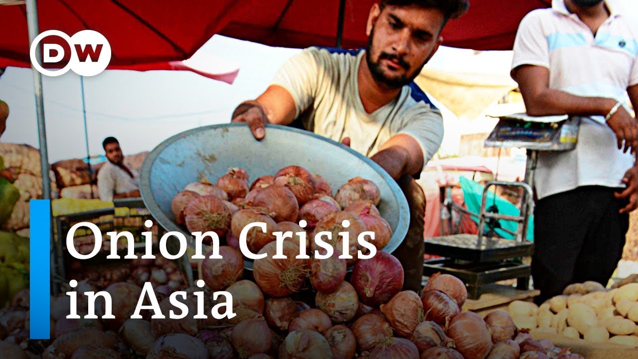 Great Onion Crisis: India bans onion exports | DW News