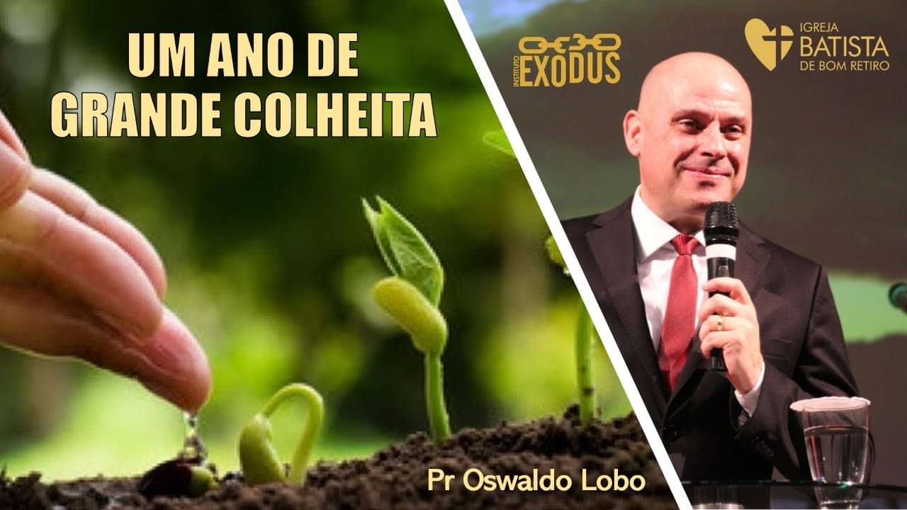 Um Ano De Grande Colheita - Pr. Lôbo