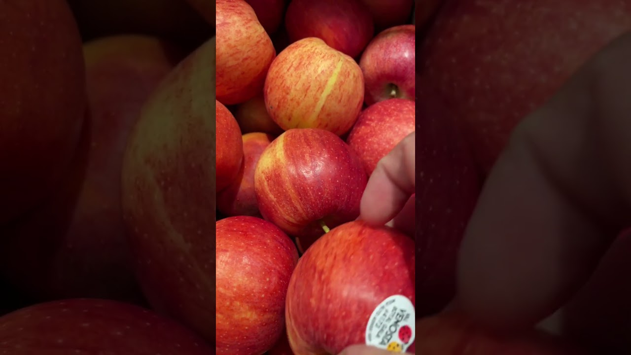 MOUTHWATERING RED APPLES🍎#shorts #red #apples #fruit #sweet #yummy #healthy #applepie