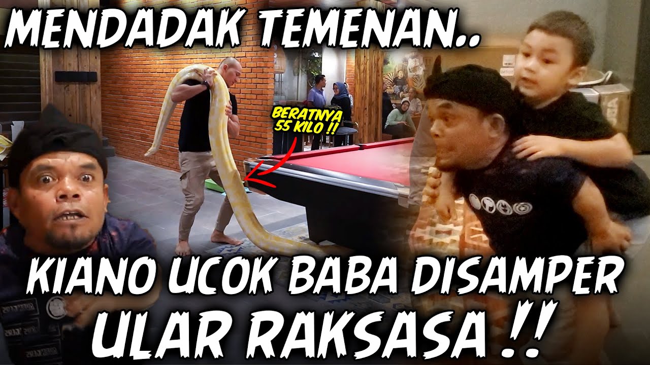 KIANO SAMPE DIGENDONG UCOK BABA KELUAR KANTOR  😂 !