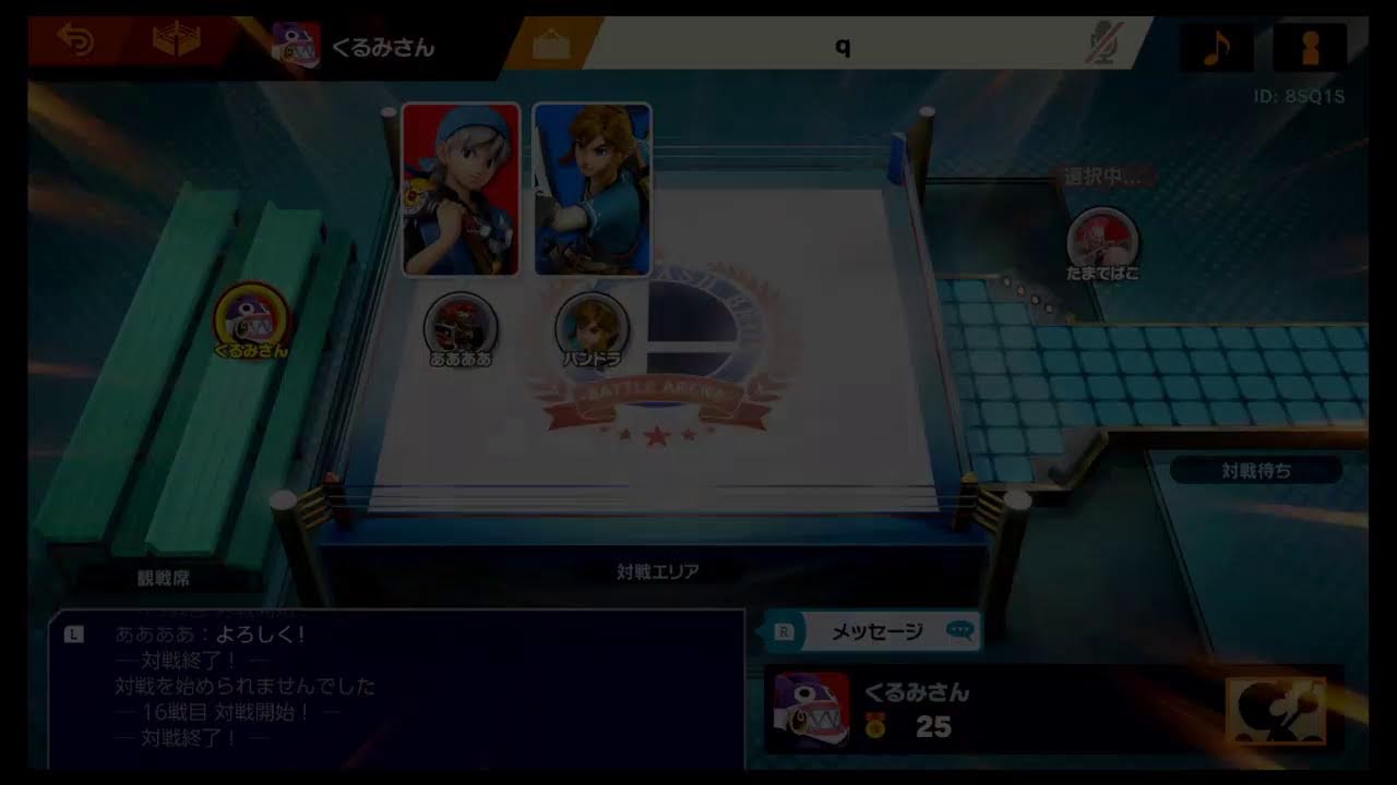 スマブラ配信