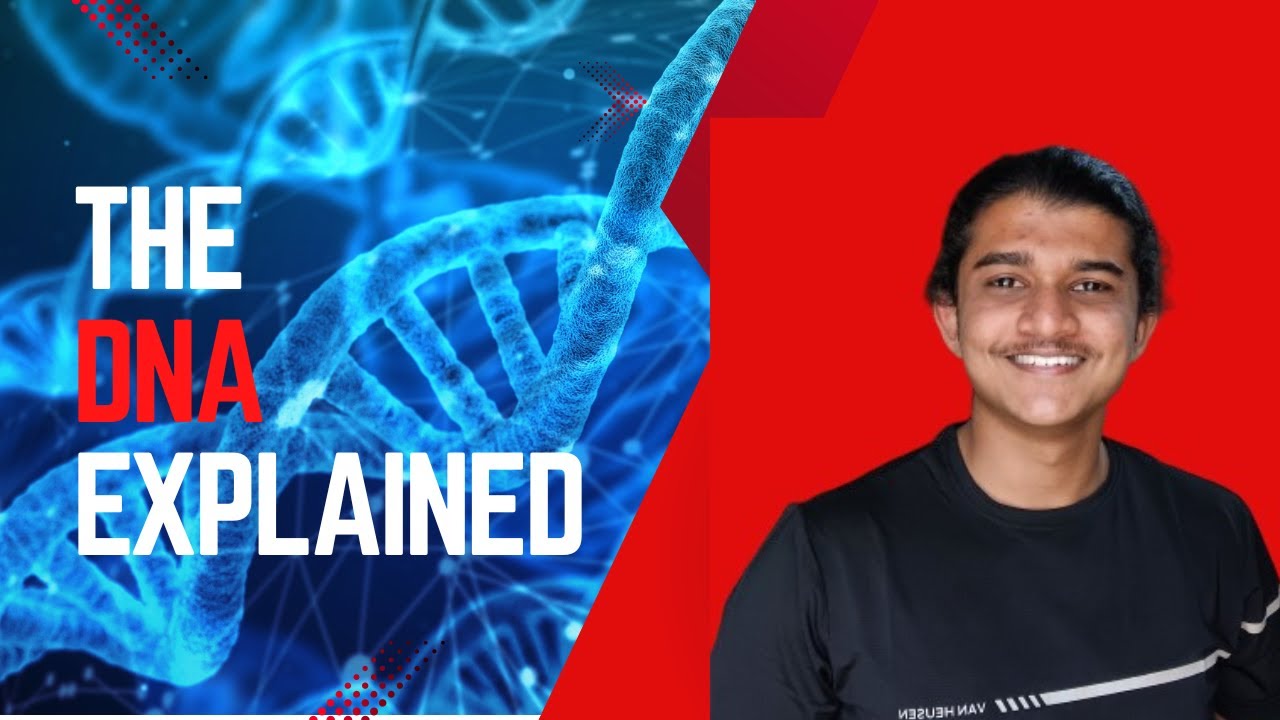Chemical Composition of DNA Explained