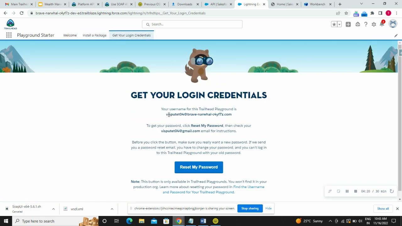 Use SOAP API | Platform API Basics | Create a New Account Record with SOAP API