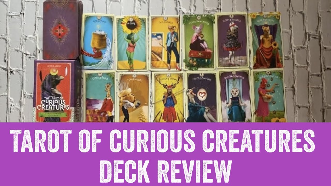 Chris-Anne's Tarot of Curious Creatures (Deck Review)
