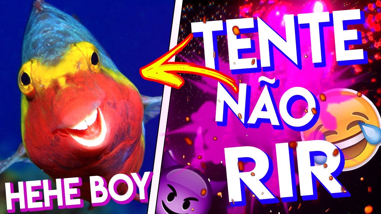 TENTE NÃO RIR / MELHOR HORA DO DIA 2