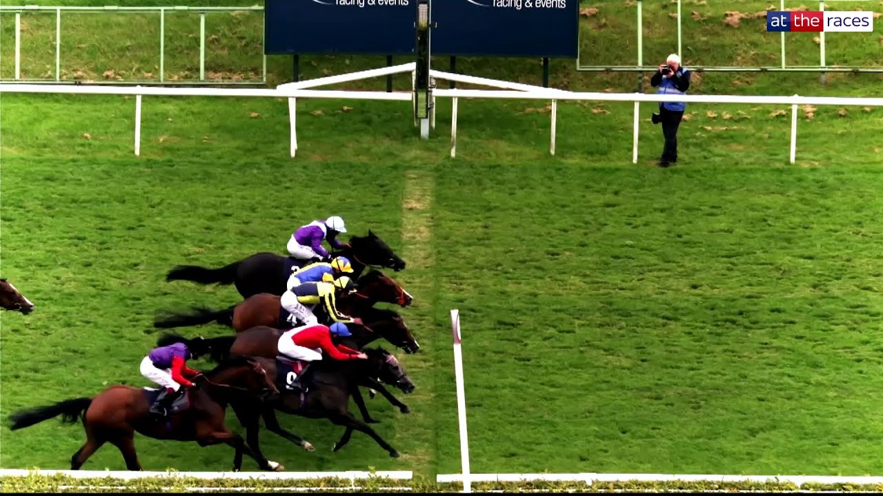 COOLEST RACEHORSE FOOTAGE