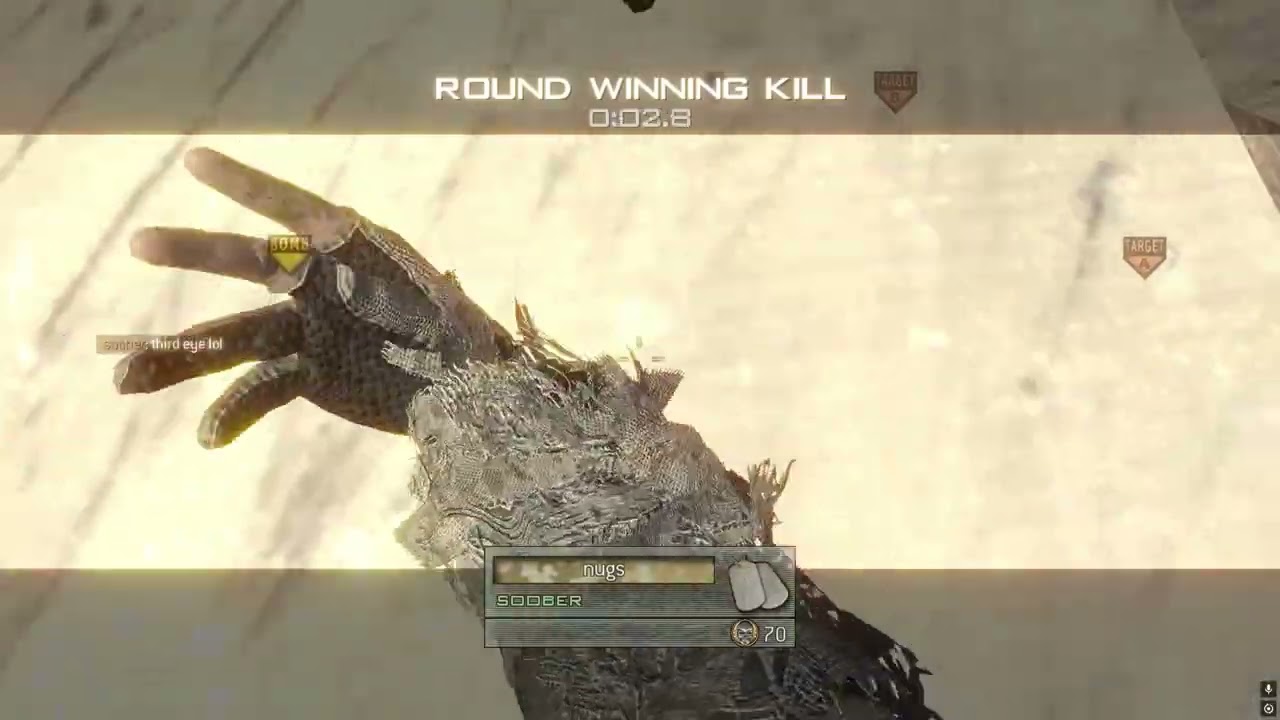 iw4x in 2025? (20 trickshots)