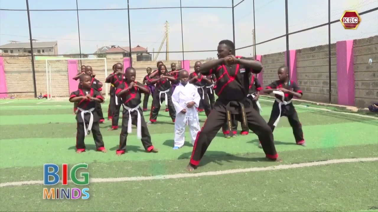 Big Minds I These pupils display their taekwondo skills