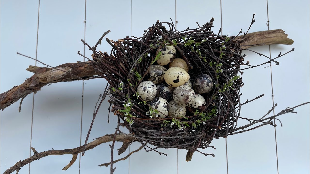 DIY| Vogelnest | Osternest| aus Birkenästen super einfach ohne Kleber ohne Draht