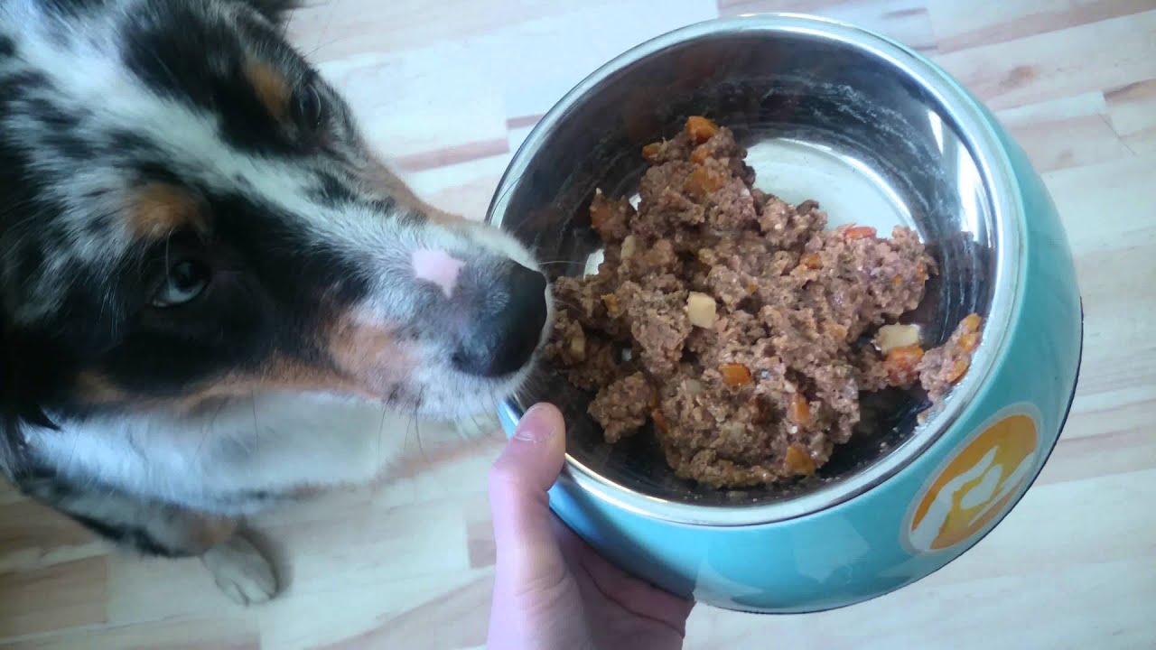 Terra Canis Feuchfutter Produkttest