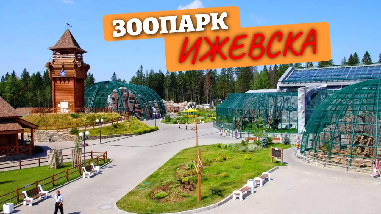 Зоопарк Ижевска, Удмуртия, май 2021 года