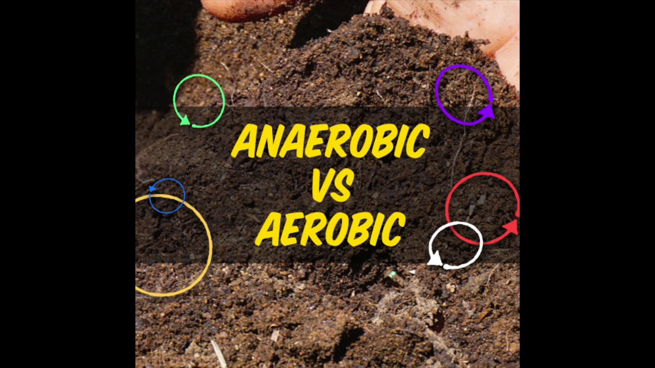 Episode 116 | Anaerobic vs Aerobic Controversy EXPLAINED with Matt Powers