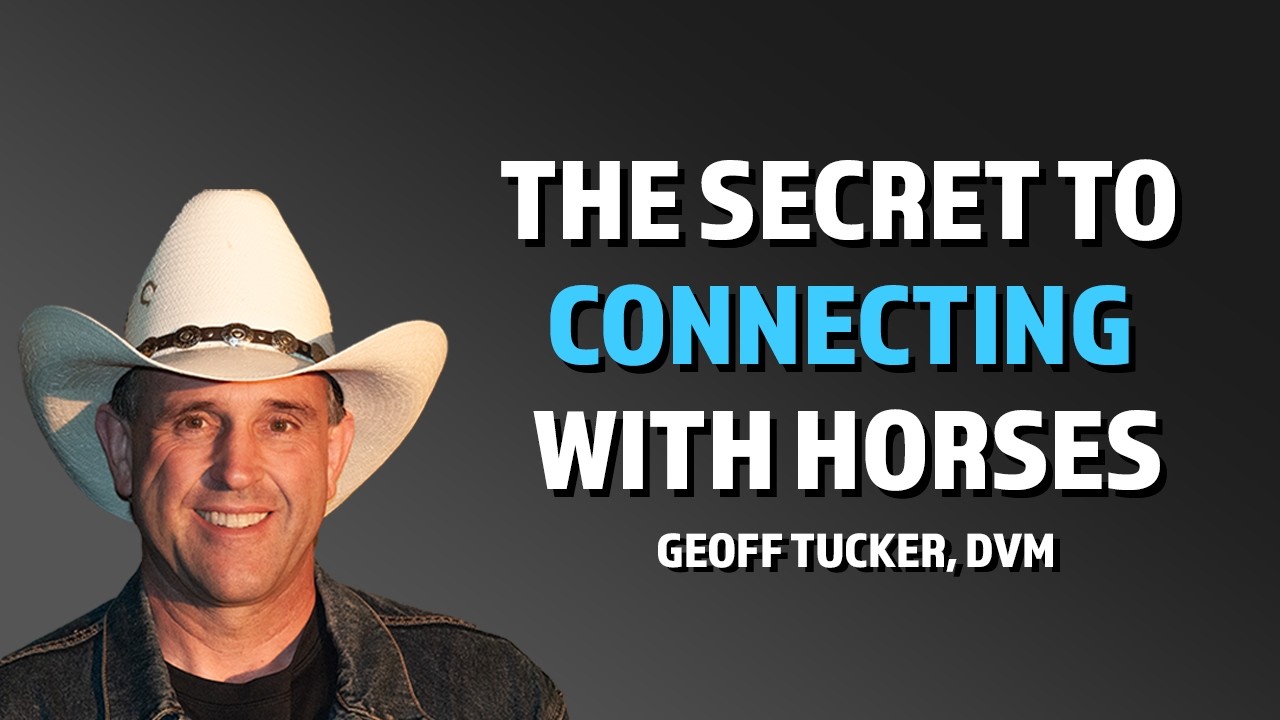 A New Way To See Horses In 2026 - Geoff Tucker DVM