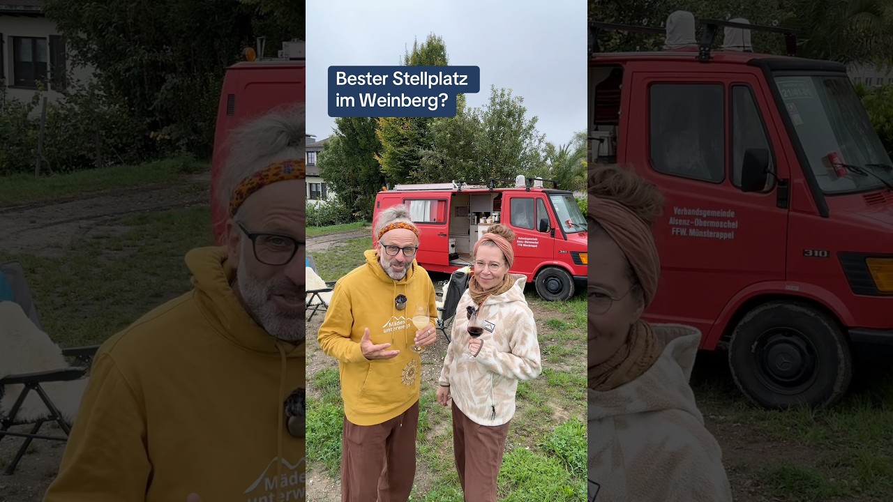 Vineyard pitch & organic wines 🍇🚐 Discover the Machmer winery in Bechtheim!